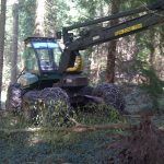 The driving seat of a forestry machine...