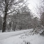 The road to Lea Bailey in the snow