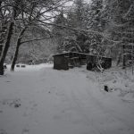 Looking towards the shed; track hidden by snow