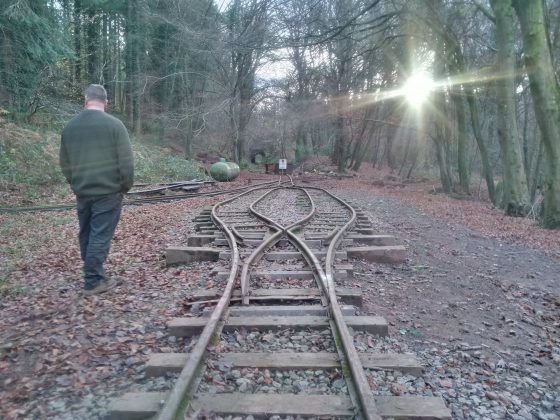 The running line after the leaves were removed