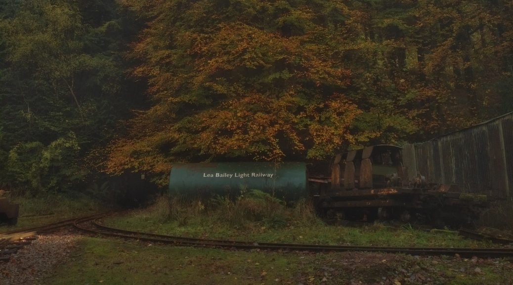 Autumn leaves and Lea Bailey tank